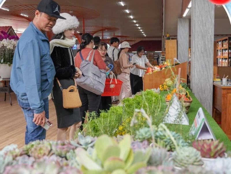 Phường Cam Ly - Đà Lạt: ‘Thủ phủ’ du lịch canh nông tỉnh Lâm Đồng- Ảnh 6. Phường Cam Ly - Đà Lạt: ‘Thủ phủ’ du lịch canh nông tỉnh Lâm Đồng- Ảnh 6.