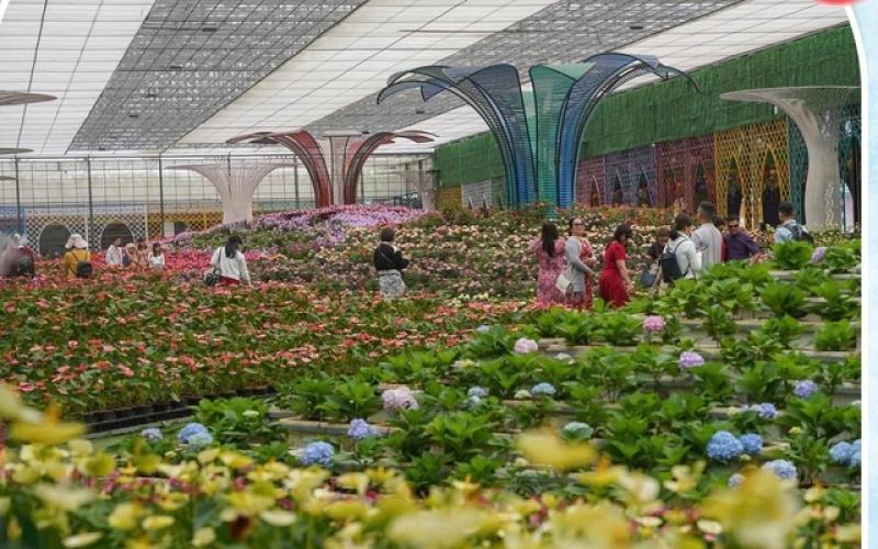 Phường Cam Ly - Đà Lạt: ‘Thủ phủ’ du lịch canh nông tỉnh Lâm Đồng- Ảnh 1. Phường Cam Ly - Đà Lạt: ‘Thủ phủ’ du lịch canh nông tỉnh Lâm Đồng- Ảnh 1.