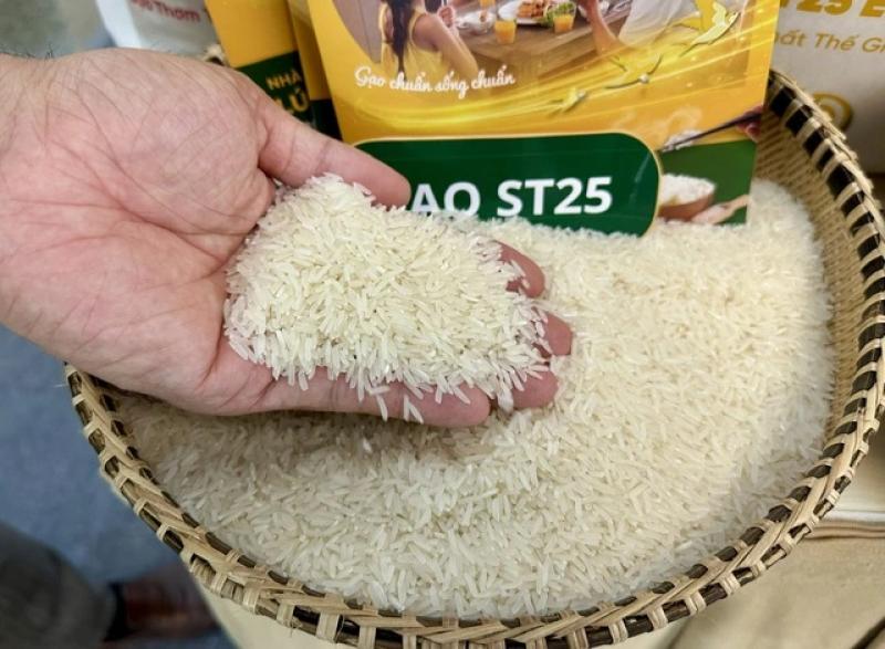 Thế giới lao dốc, giá gạo Việt Nam vọt lên đỉnh bảng, vì sao? - Ảnh 1. Thế giới lao dốc, giá gạo Việt Nam vọt lên đỉnh bảng, vì sao? - Ảnh 1.