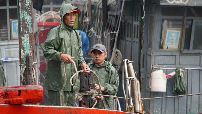 Tàu thuyền nối đuôi nhau đi tránh bão Kajiki- Ảnh 4.
