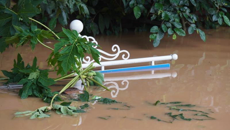 Nước sông Mã ồ ạt đổ vào nhà dân- Ảnh 5. Nước sông Mã ồ ạt đổ vào nhà dân- Ảnh 5.