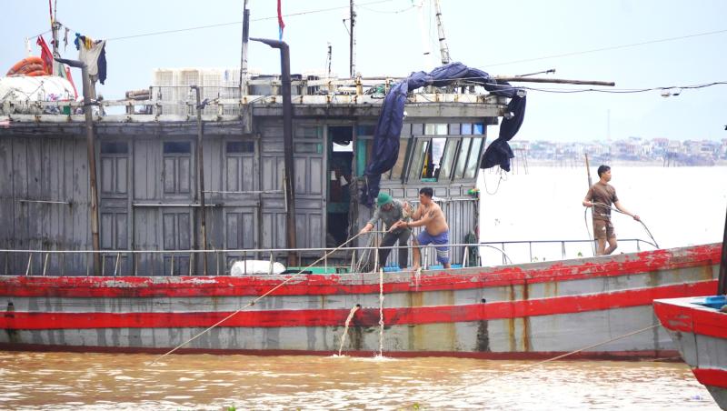 Tàu thuyền nối đuôi nhau đi tránh bão Kajiki- Ảnh 7.