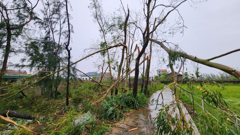 Làng biển ở Hà Tĩnh tan hoang sau bão số 5- Ảnh 11.