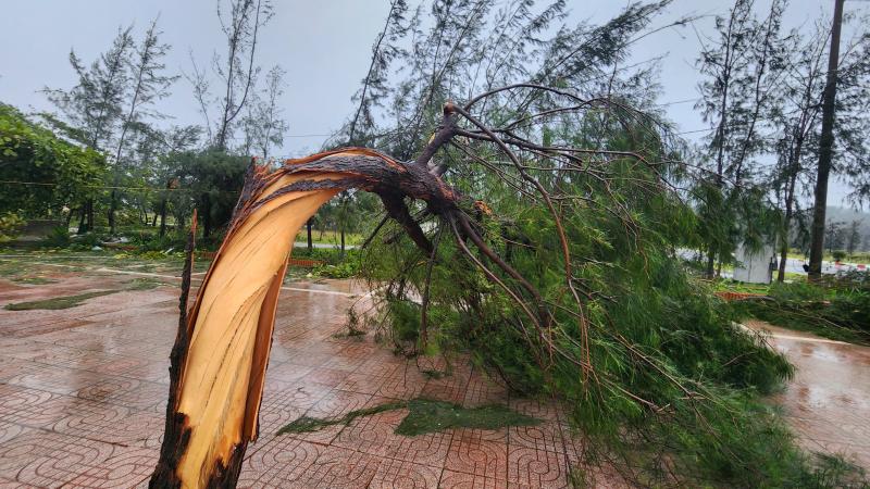Làng biển ở Hà Tĩnh tan hoang sau bão số 5- Ảnh 10.