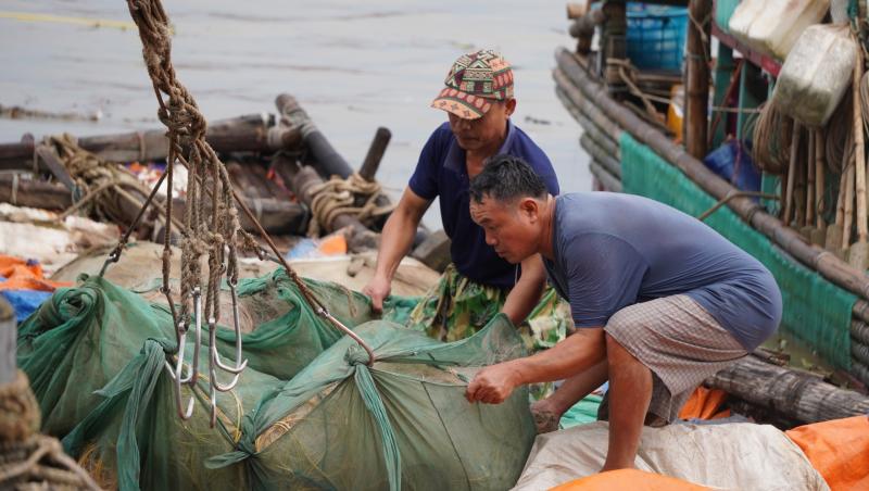 Tàu thuyền nối đuôi nhau đi tránh bão Kajiki- Ảnh 2.