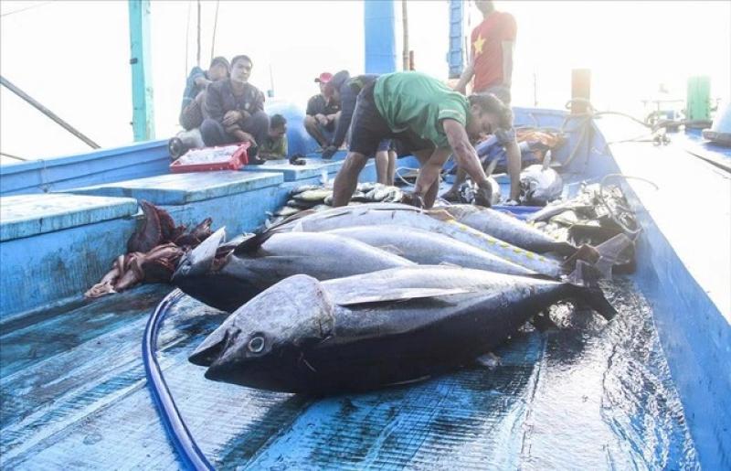 Doanh nghiệp thủy sản nêu hàng loạt bất cập về thuế GTGT - Ảnh 2.