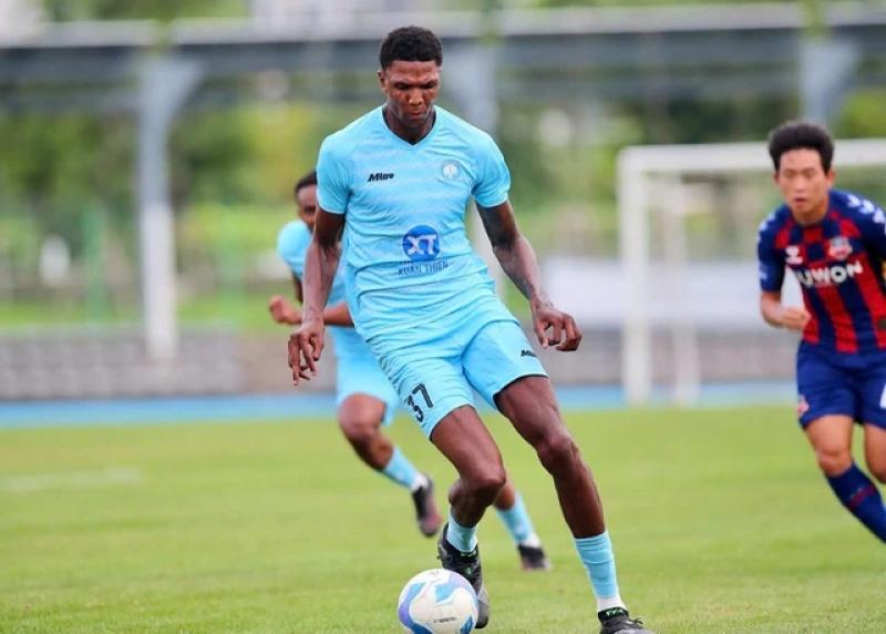 Sức hút mạnh mẽ từ dàn tân binh 'khủng', V-League sẽ cực kỳ lôi cuốn- Ảnh 1. Sức hút mạnh mẽ từ dàn tân binh 'khủng', V-League sẽ cực kỳ lôi cuốn- Ảnh 1.
