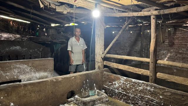 Dịch tả heo châu Phi hoành hành, Quảng Ngãi tiêu hủy hơn 70.000 con- Ảnh 3.
