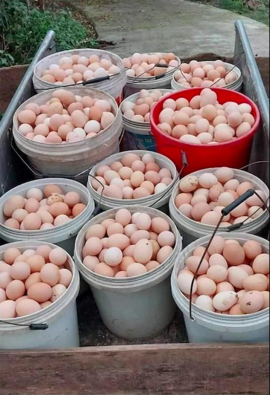 Xuất khẩu sang Campuchia bất ngờ tăng mạnh- Ảnh 2. Xuất khẩu sang Campuchia bất ngờ tăng mạnh- Ảnh 2.