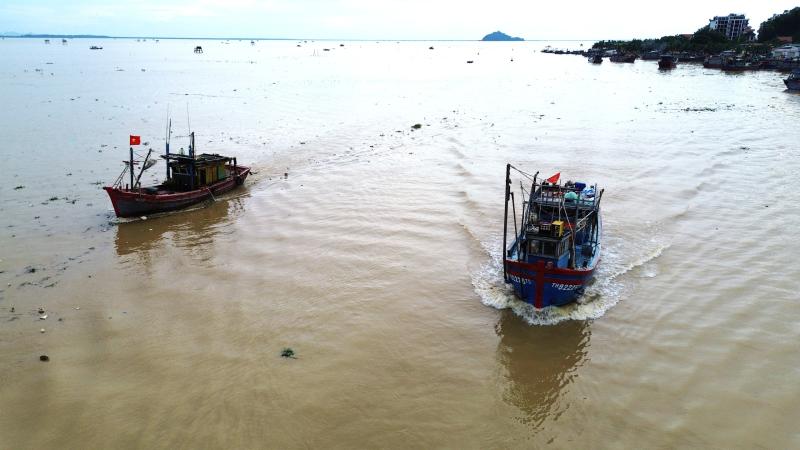Tàu thuyền nối đuôi nhau đi tránh bão Kajiki- Ảnh 1.