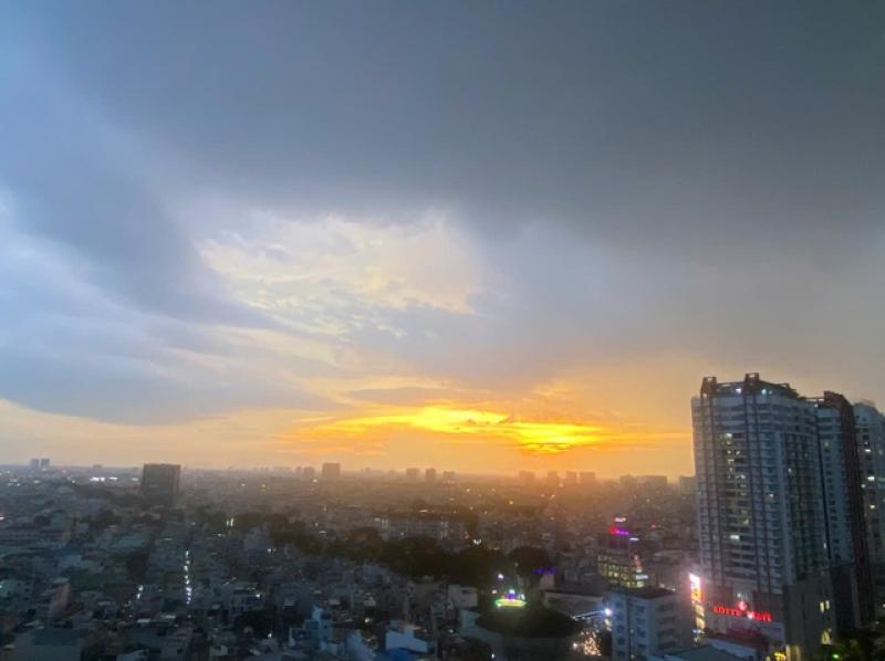'Mưa vàng' giải nhiệt cho TP.HCM- Ảnh 2. 'Mưa vàng' giải nhiệt cho TP.HCM- Ảnh 2.