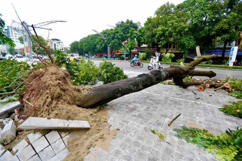 Nhiều tuyến phố Thanh Hóa ngập lụt sau cơn bão số 5 gây thiệt hại lớn - Ảnh 5.