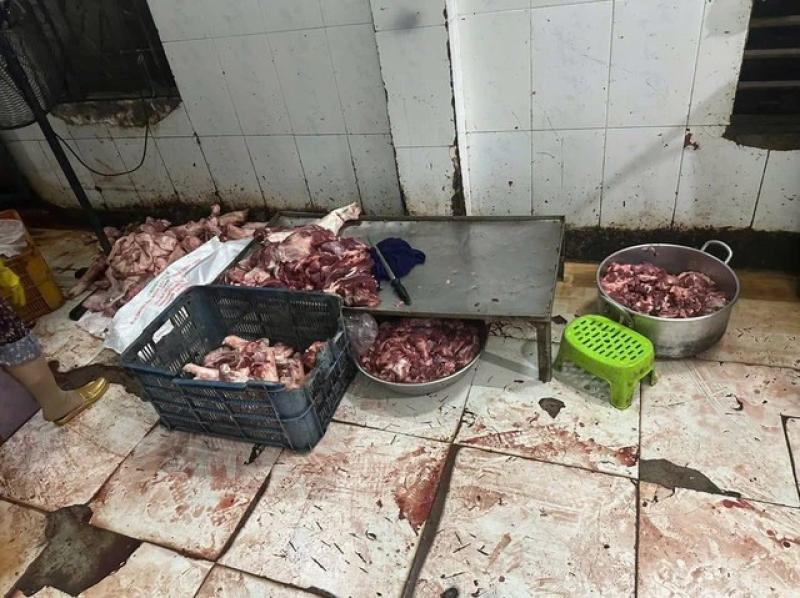 Gia Lai: Phát hiện hơn 4 tấn thịt heo có mùi hôi thối, không rõ nguồn gốc - Ảnh 4.