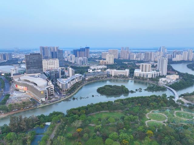 Người dân TP.HCM thích thú ngắm loài chim quý bay về 'khu nhà giàu' Phú Mỹ Hưng  - Ảnh 1.