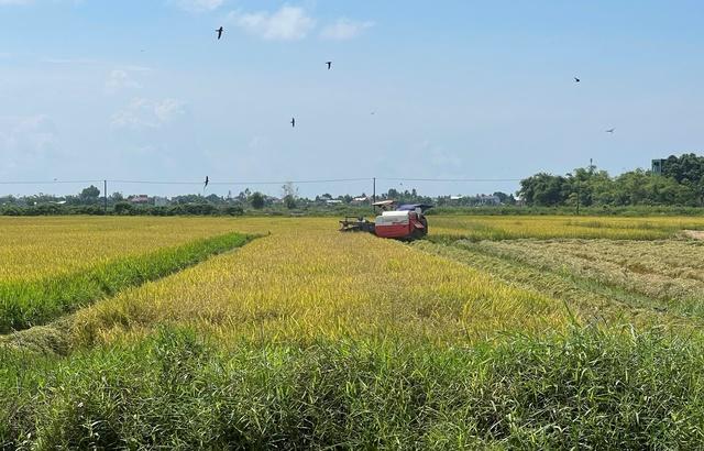 Lực lượng chức năng, người dân Huế chằng chống nhà cửa, ứng phó bão số 5- Ảnh 2.