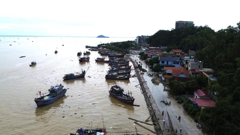 Tàu thuyền nối đuôi nhau đi tránh bão Kajiki- Ảnh 9.