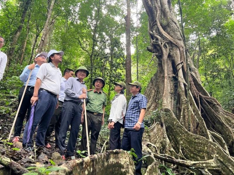 Khám phá Vườn Quốc gia Kon Ka Kinh - viên ngọc xanh giữa đại ngàn Tây nguyên - Ảnh 4.