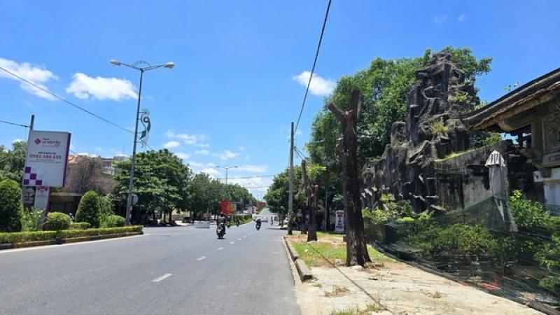 Quảng Trị: Rà soát giữ lại cây xanh, không chặt hạ tất cả khi cải tạo đường- Ảnh 1. Quảng Trị: Rà soát giữ lại cây xanh, không chặt hạ tất cả khi cải tạo đường- Ảnh 1.