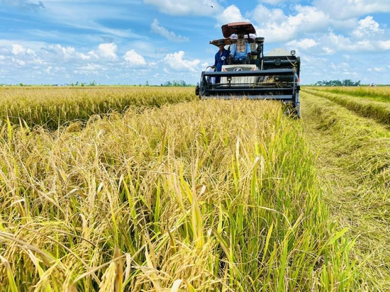 Từ 'gạo xanh' đến nông sản phát thải thấp- Ảnh 1. Từ 'gạo xanh' đến nông sản phát thải thấp- Ảnh 1.