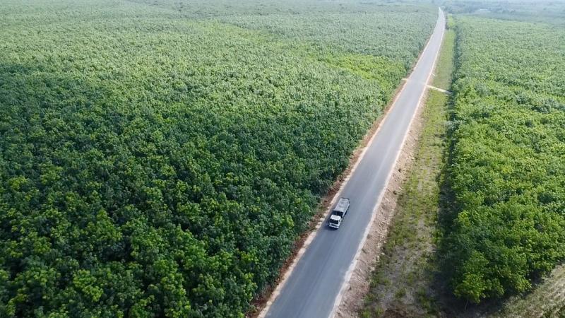 Xã duy nhất ở TP.HCM mang tên anh hùng liệt sĩ Trừ Văn Thố - Ảnh 4.
