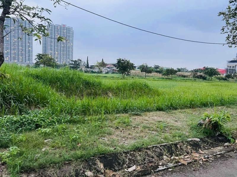 TP.HCM kiến nghị gỡ khó cho đất công- Ảnh 1. TP.HCM kiến nghị gỡ khó cho đất công- Ảnh 1.