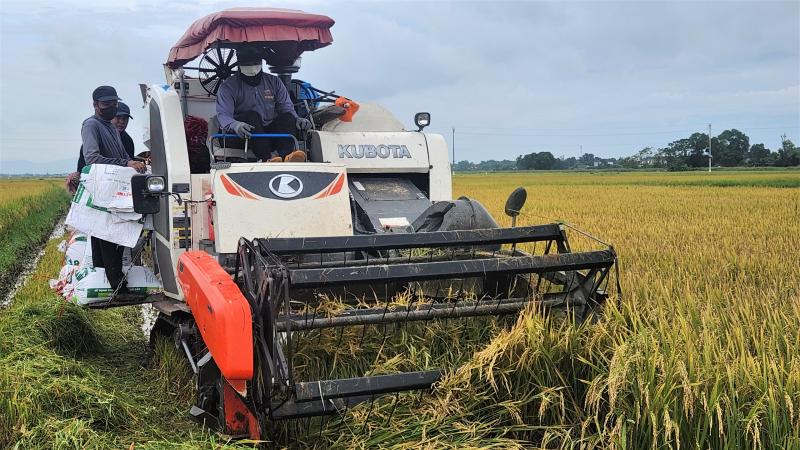 Bão số 5: Người dân Hà Tĩnh dùng túi nước gia cố mái nhà- Ảnh 9.