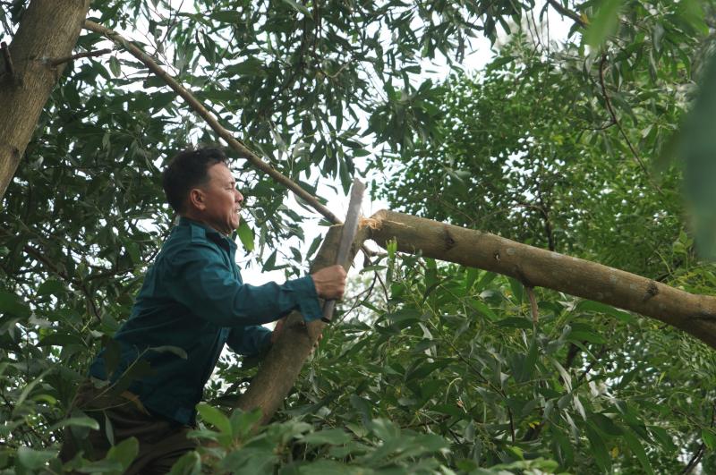 Bão số 5: Người dân Hà Tĩnh dùng túi nước gia cố mái nhà- Ảnh 4.