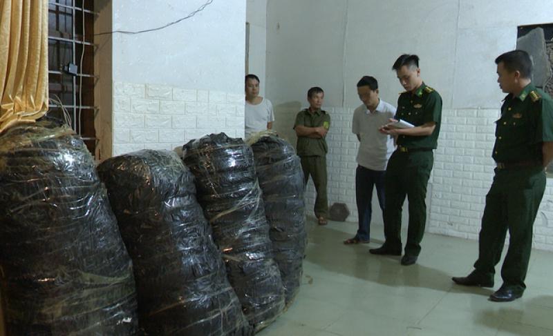 Bắt tài xế vận chuyển 115 kg cần sa khô- Ảnh 2.