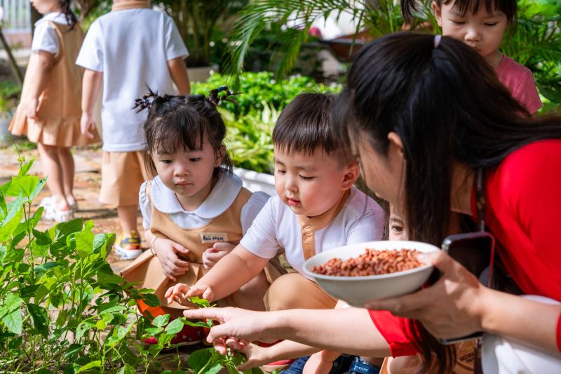 TP.HCM: Học sinh trường ngoài công lập háo hức tựu trường năm học mới - Ảnh 3.