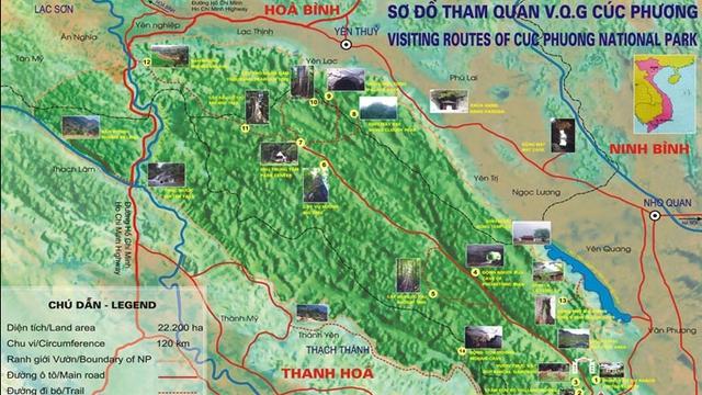 Nam du khách mất tích trong rừng Cúc Phương: Huy động 7 chó nghiệp vụ tìm kiếm- Ảnh 1.