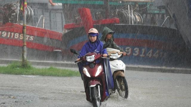Thanh hóa khuyến cáo người dân không ra khỏi nhà do bão số 5 Ảnh hưởng - Ảnh 1.