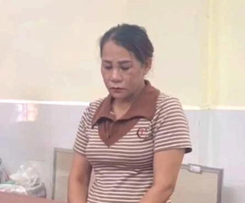 Bắt người phụ nữ “nổ” dời được ranh rừng ở Phú Quốc lừa đảo 5,9 tỉ đồng - Ảnh 1.
