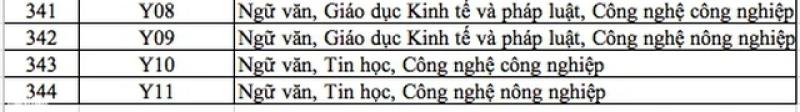 Danh sách 344 tổ hợp môn xét tuyển đại học, cao đẳng năm 2025 - Ảnh 10.