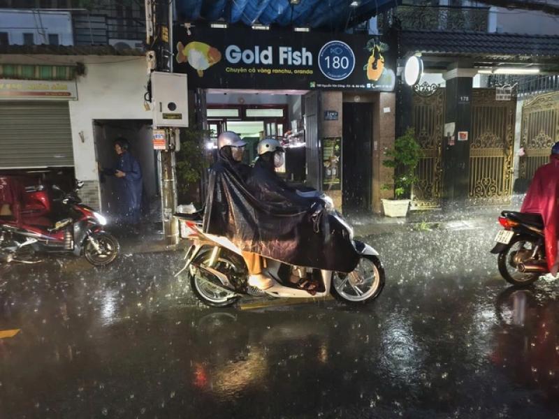 'Mưa vàng' giải nhiệt cho TP.HCM- Ảnh 5. 'Mưa vàng' giải nhiệt cho TP.HCM- Ảnh 5.