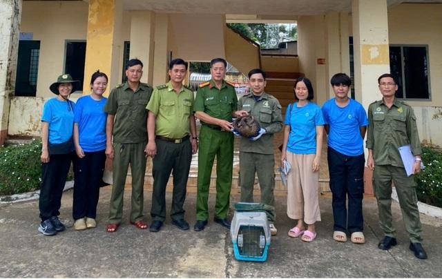 Thấy tê tê chạy ngang cửa nhà, người phụ nữ bắt lại giao nộp công an - Ảnh 3.