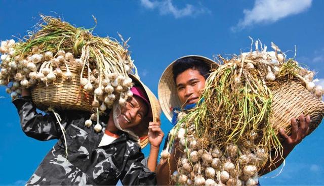 Khánh Hòa: Phát triển nông nghiệp theo hướng sạch, bền vững- Ảnh 4.