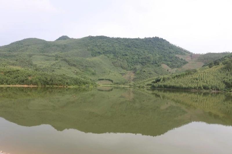 Gần hồ thủy lợi nhưng lúa vẫn 'khát'- Ảnh 1.