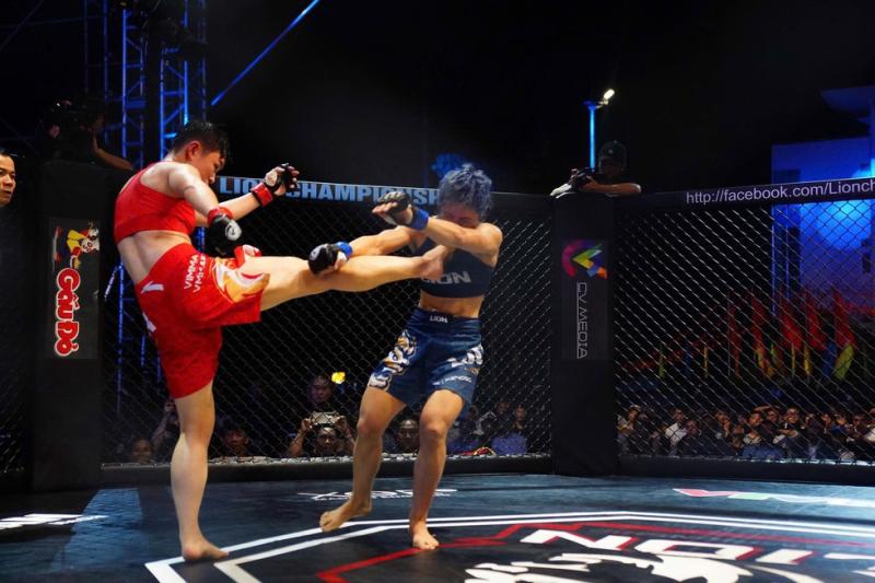 Tại sao MMA lại hấp dẫn?- Ảnh 1.