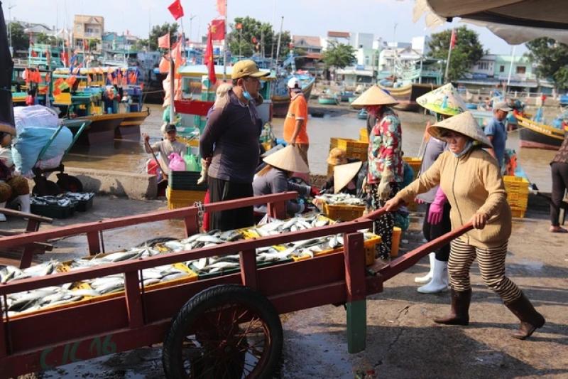Quyết tâm 'cán đích' thu ngân sách  ở các địa phương top đầu ven biển Lâm Đồng- Ảnh 2.