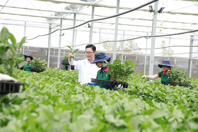 Gia Lai khai thác tiềm năng xuất khẩu nông sản sang thị trường Trung Quốc - Ảnh 1.
