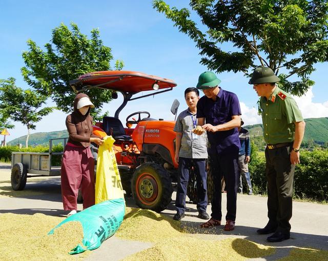 Người dân Quảng Trị xuyên đêm gặt lúa, chạy đua với bão số 5- Ảnh 2.