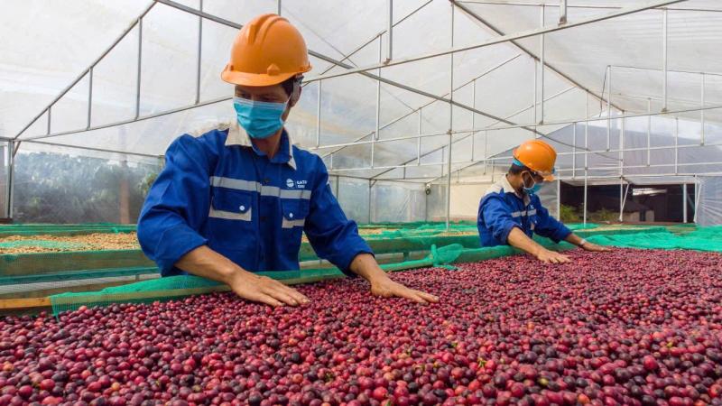 Giữa thuế đối ứng, đơn hàng xuất khẩu tăng trở lại- Ảnh 1. Giữa thuế đối ứng, đơn hàng xuất khẩu tăng trở lại- Ảnh 1.