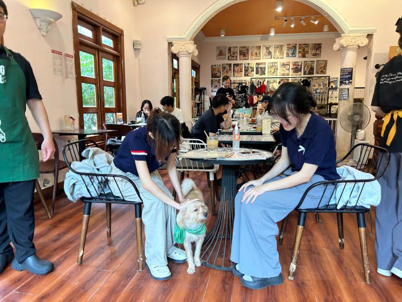 Tại sao quán cà phê này vào mùa hè luôn kín khách? - Ảnh 1.