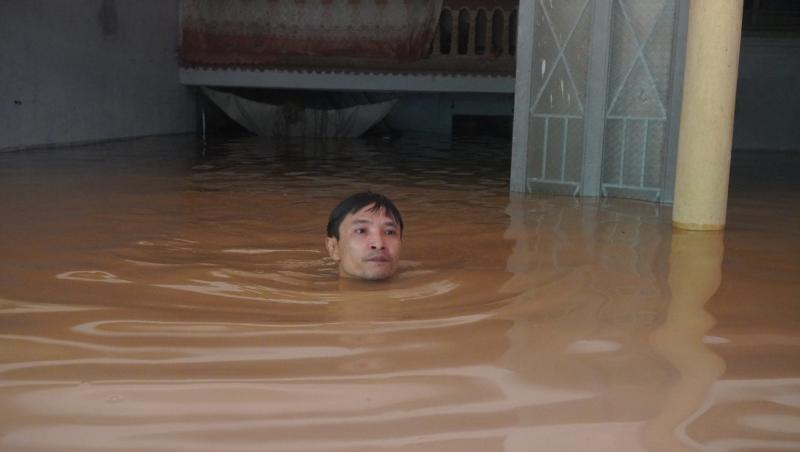  - Ảnh 7.