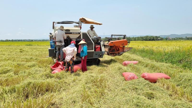 Điểm sáng về giảm nghèo- Ảnh 2.