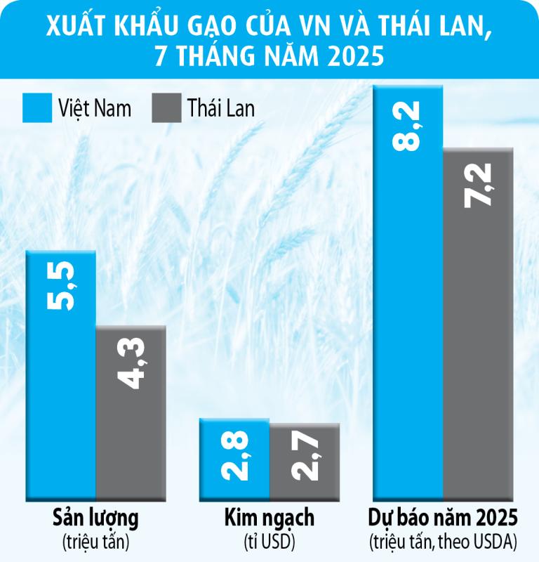 Giá gạo biến động mạnh trước 'giờ G'- Ảnh 2.