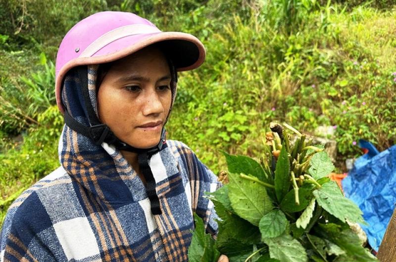 Tỉ phú sâm Ngọc Linh méo mặt vì… 'chuột quý tộc' - Ảnh 5.