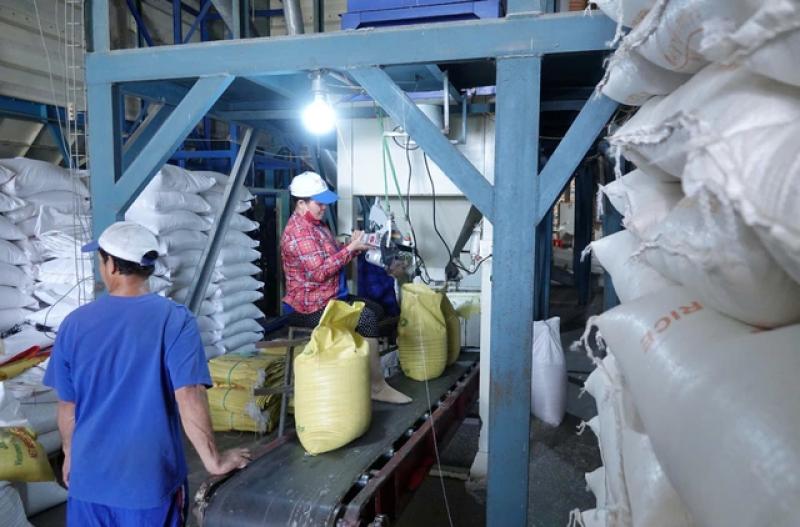 Doanh nghiệp gạo bị 'nợ' hoàn thuế VAT cả trăm tỉ đồng - Ảnh 1. Doanh nghiệp gạo bị 'nợ' hoàn thuế VAT cả trăm tỉ đồng - Ảnh 1.