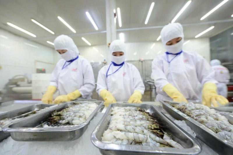 Doanh nghiệp thủy sản nêu hàng loạt bất cập về thuế GTGT - Ảnh 1.