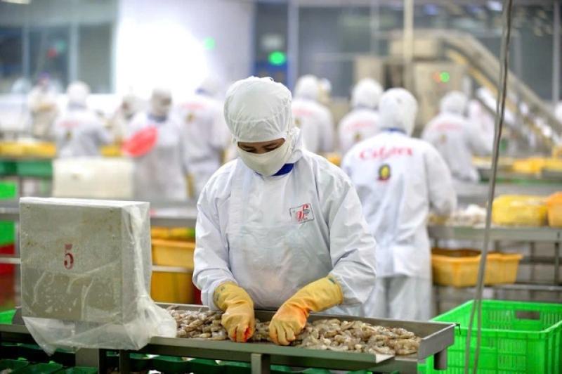 Xuất khẩu thủy sản có thể phải điều chỉnh kim ngạch do chính sách thuế của Mỹ - Ảnh 1.